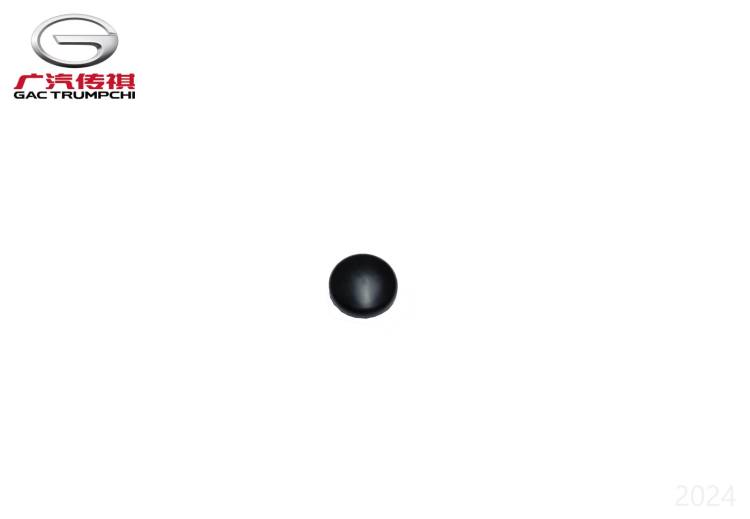 Заглушка разъема GAC