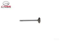 Клапан впускной GAC