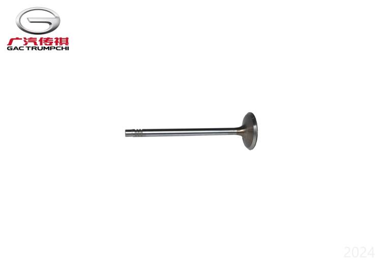 Клапан впускной GAC