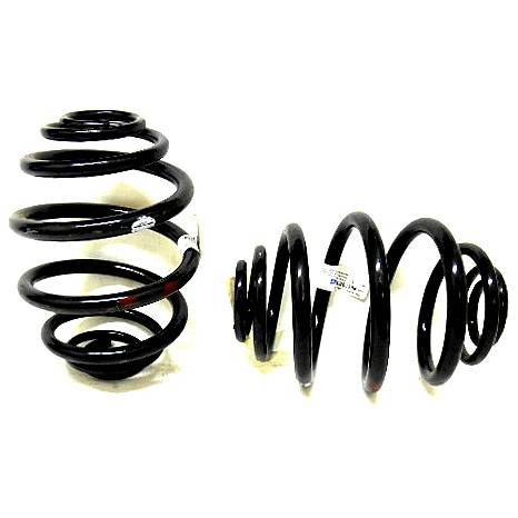 Пружина подвески задняя Nexia Lanos Espero ком. 2 шт (GM 96179833)