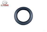 Т-образное масляное уплотнение GAC