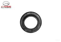 Подшипник GAC GS8II