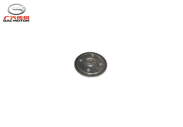 Фазорегулятор впускных клапанов GAC GS3