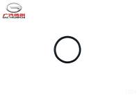 Уплотнительное кольцо GAC GS8