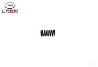 Пружина выхлопного клапана GAC