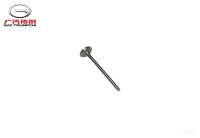 Клапан выпускной GAC