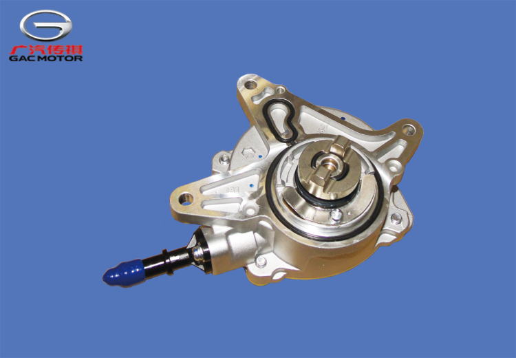 Вакуумный насос GAC GS5 GAC GS5 Замена на  3560003ARX0002