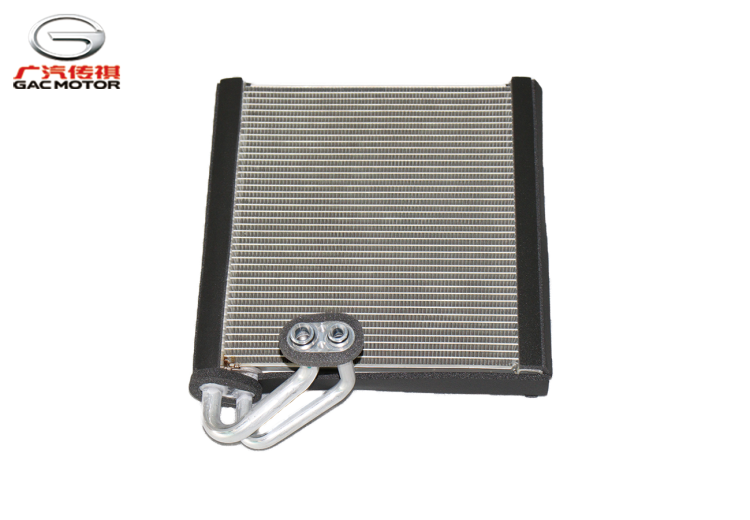 Испаритель в сборе GAC GS8II