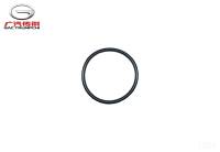 Уплотнительное кольцо GAC GN8