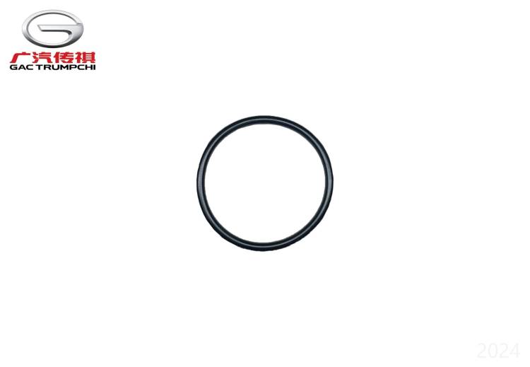 Уплотнительное кольцо GAC GN8