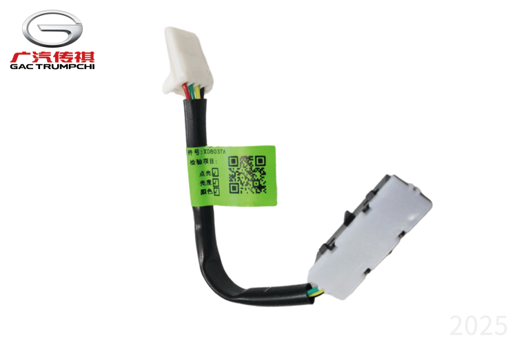 Лампа подсветки отделения для хранения GAC GS8II