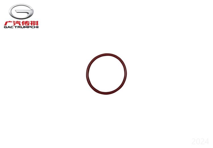 Кольцевое уплотнение GAC