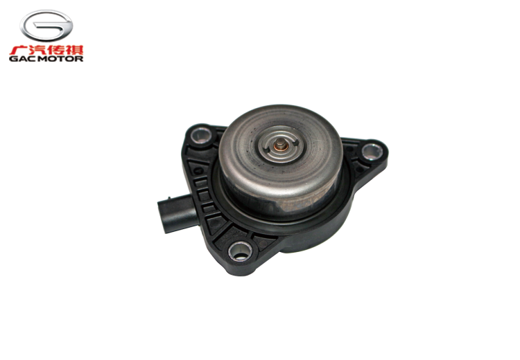 Электромагнитный клапан управления подачей масла GAC GS3