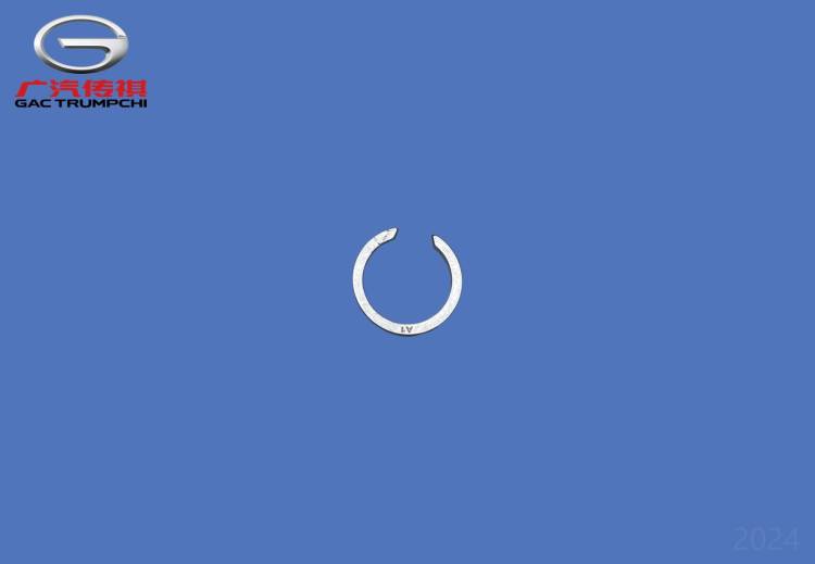 Внешнее стопорное кольцо внутреннего входного вала GAC GS3