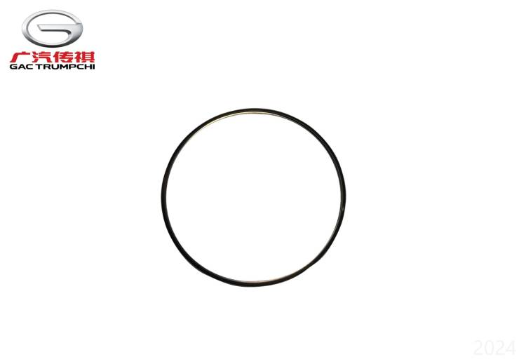 Прокладка на выходе турбокомпрессора GAC