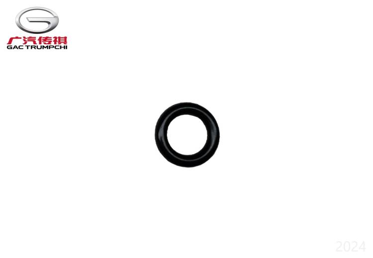 Кольцевое уплотнение GAC