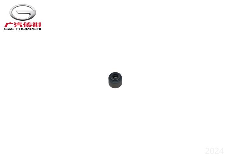 Маслосъемный колпачок GAC