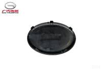 Передний логотип — Теплый серебристый хром GAC GS8II