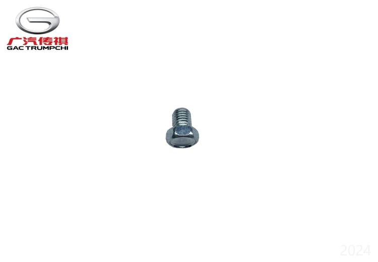 Резьбовая пробка с прямой головкой GAC