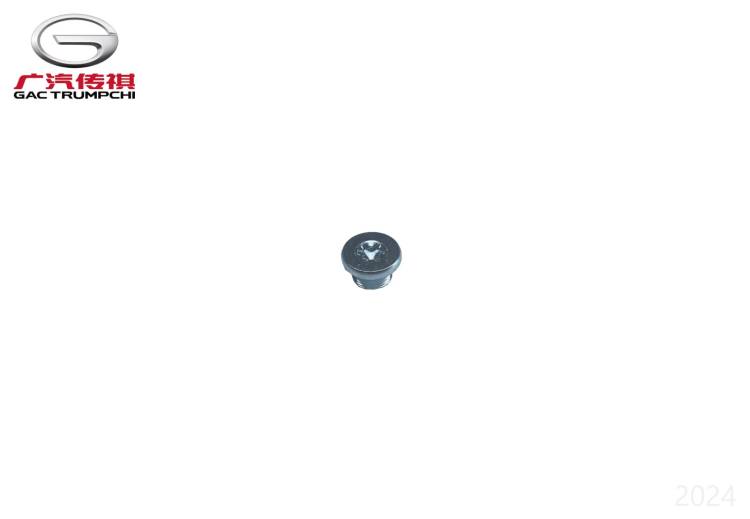 Резьбовая пробка с прямой головкой GAC