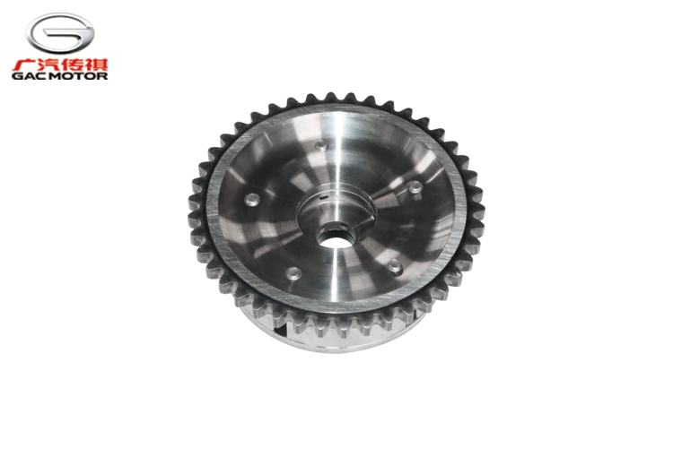 Фазорегулятор впускных клапанов GAC