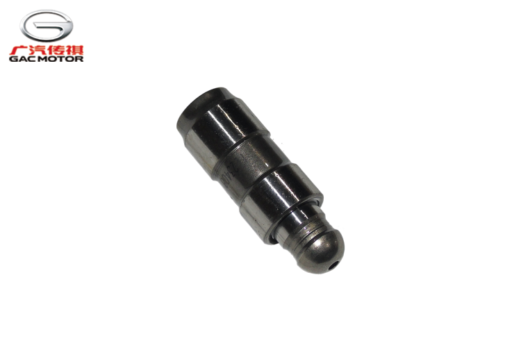 Гидравлический толкатель в сборе GAC